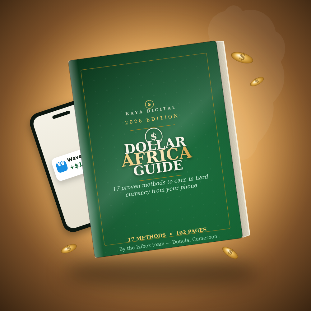 Dollar Africa Guide