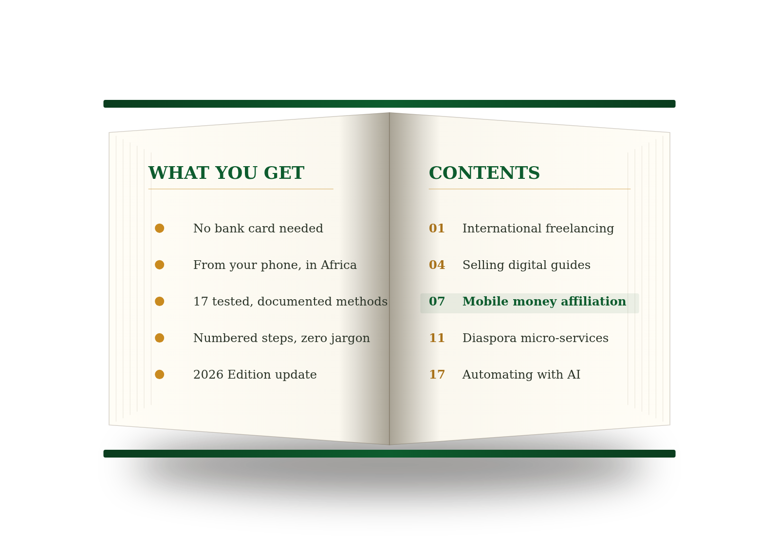 Dollar Africa Guide open — table of contents and detailed benefits inside the 102 pages